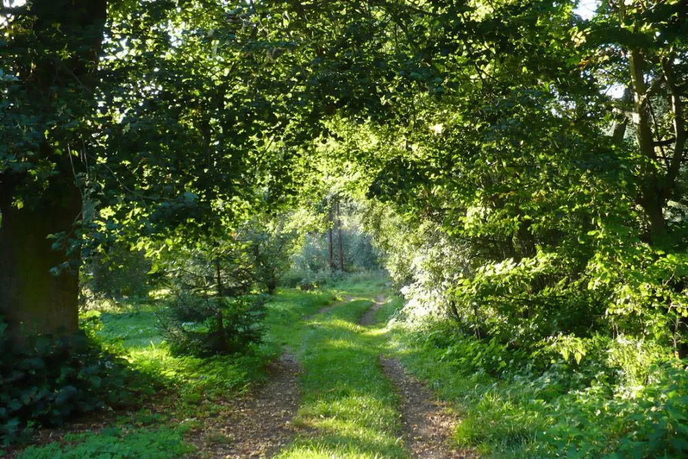 Kemp Sázava U Kavalíra