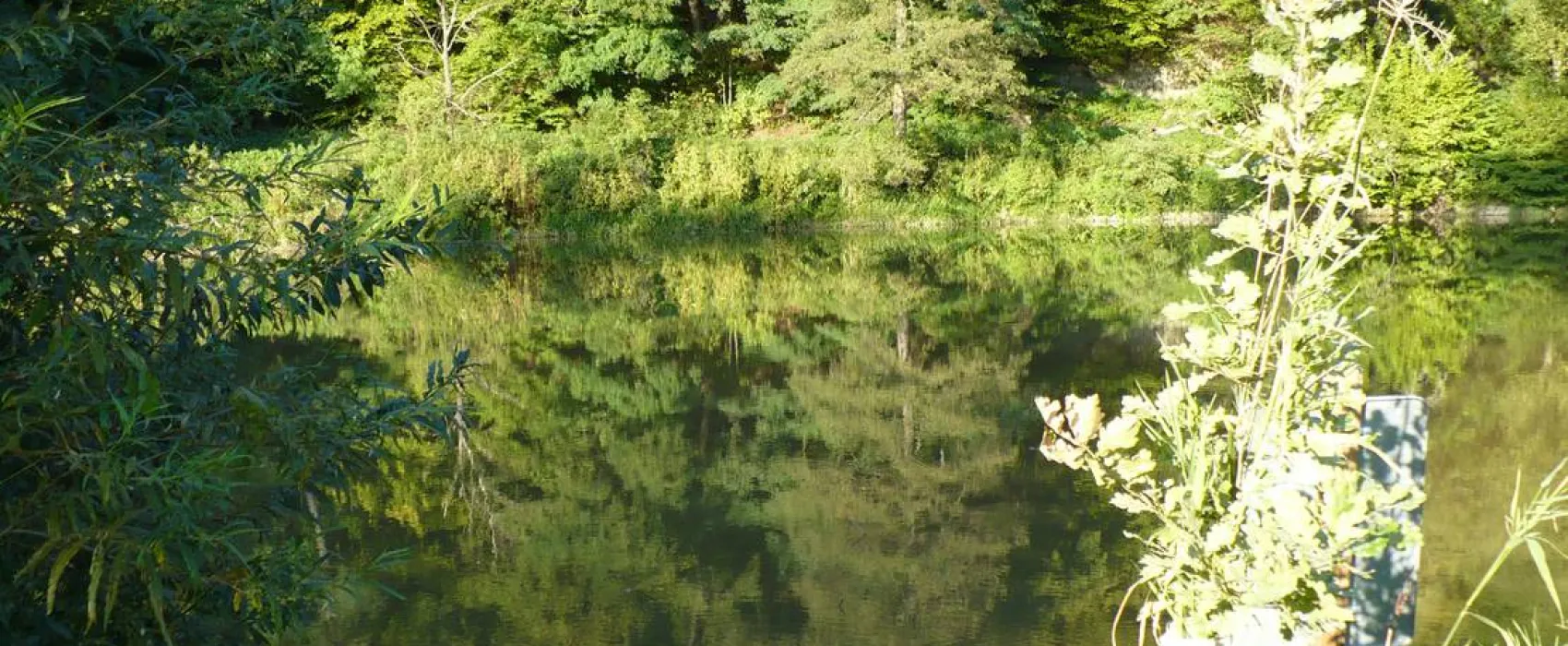 Kemp Sázava U Kavalíra