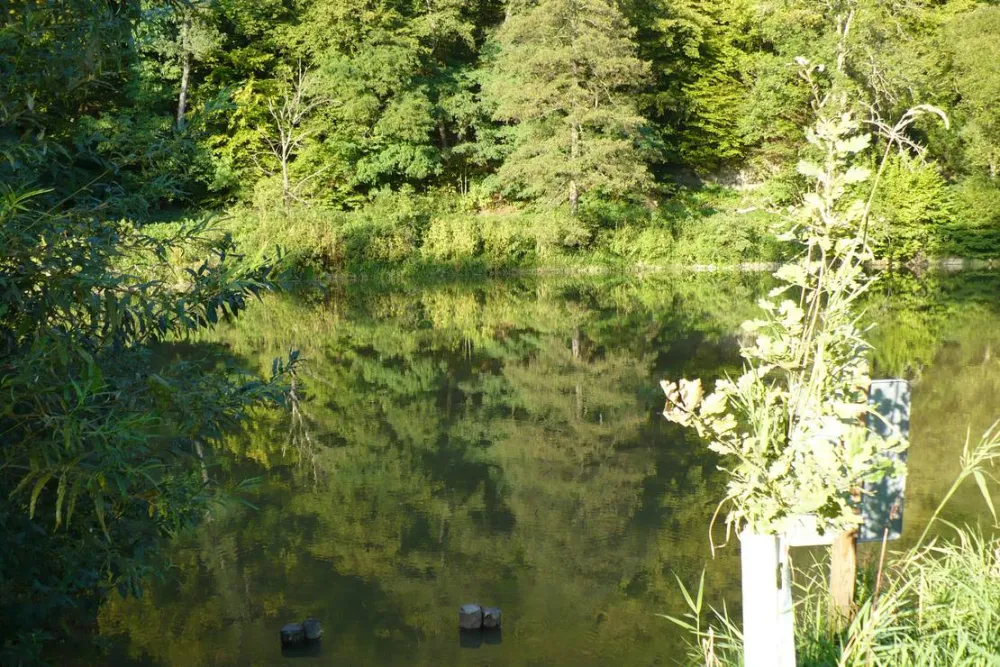 Kemp Sázava U Kavalíra