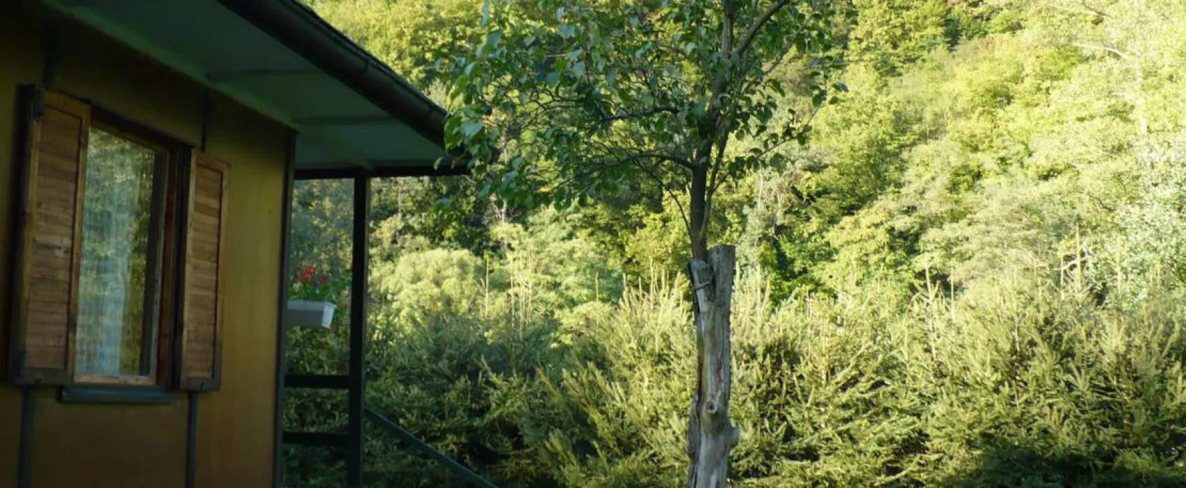 Kemp Sázava U Kavalíra