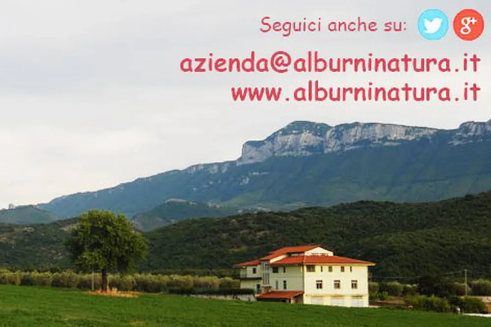 Alburni Natura Agricampeggio