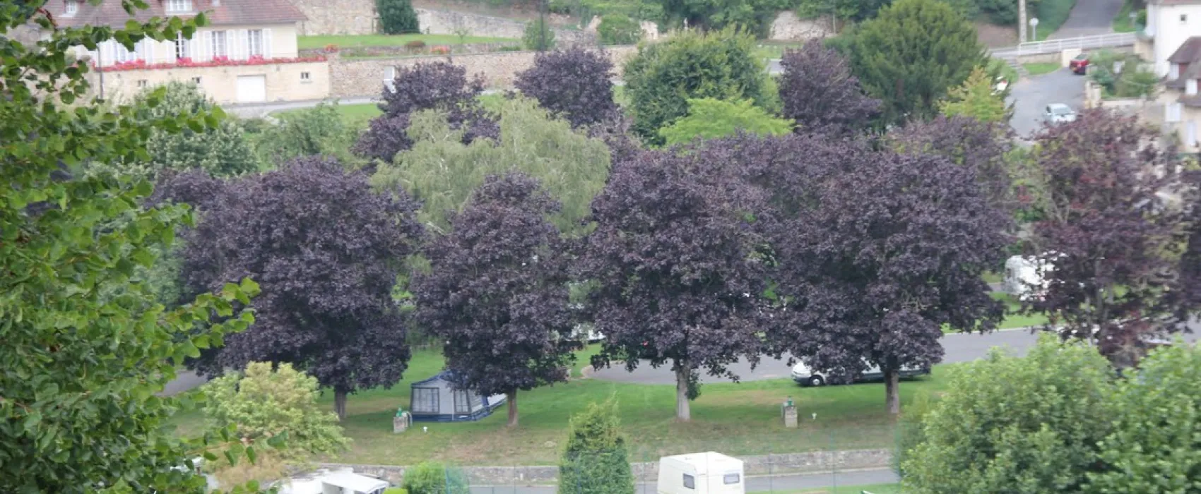 Municipal du Château