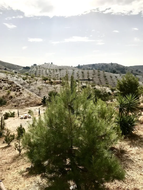 Naturisten Camping El Zorro (incl. B&B)