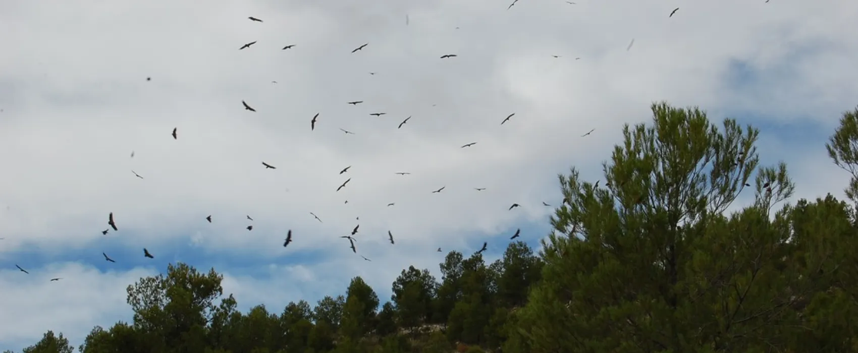 Naturisten Camping El Zorro (incl. B&B)