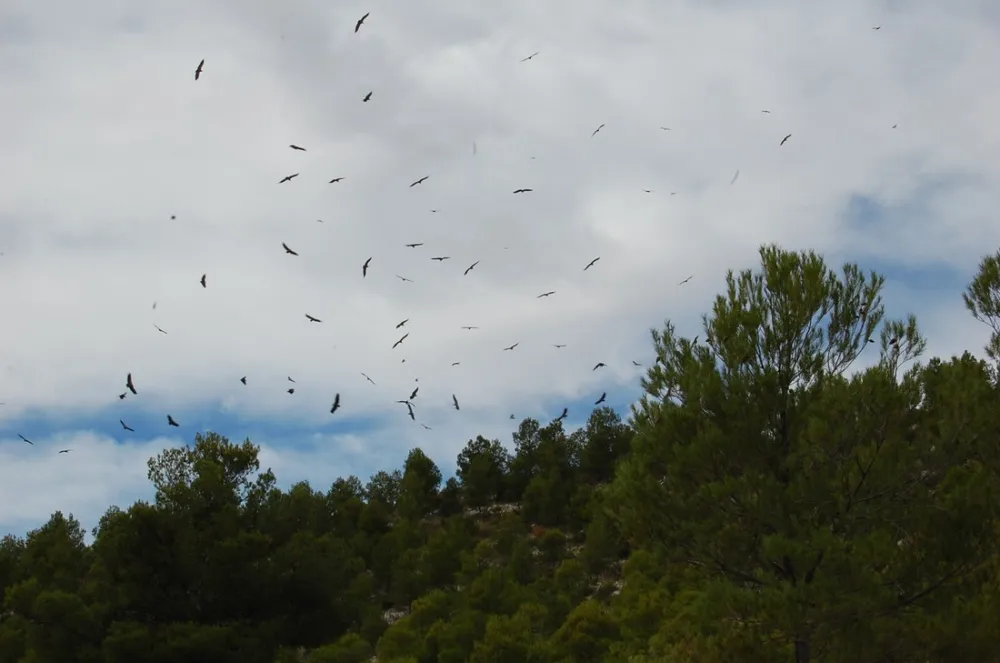 Naturisten Camping El Zorro (incl. B&B)