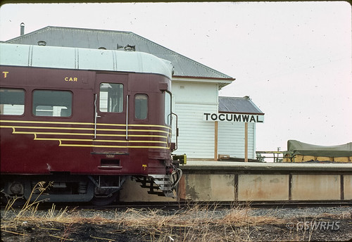 Tocumwal Campground photo 3