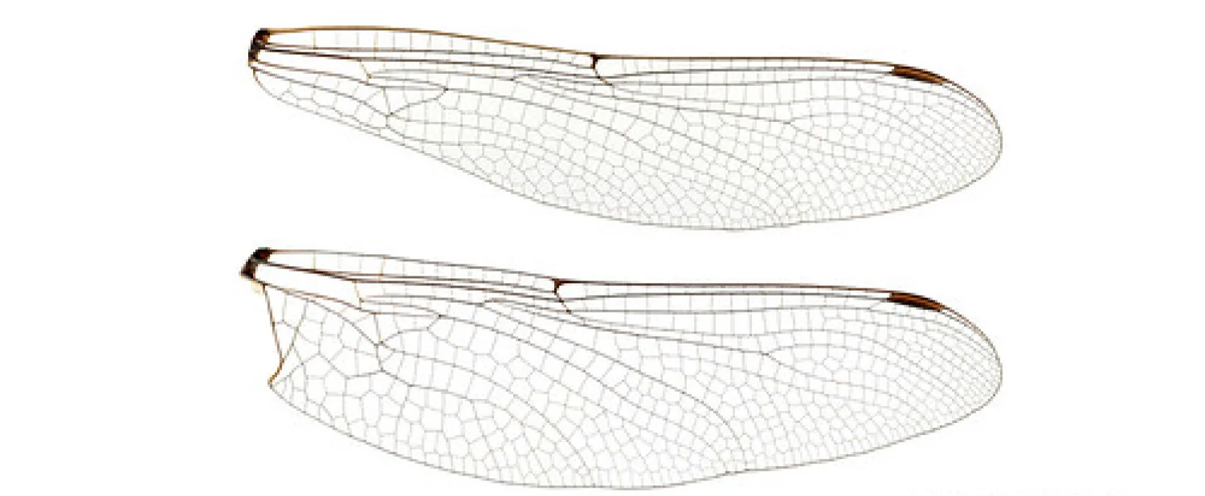 Island Bend Campground