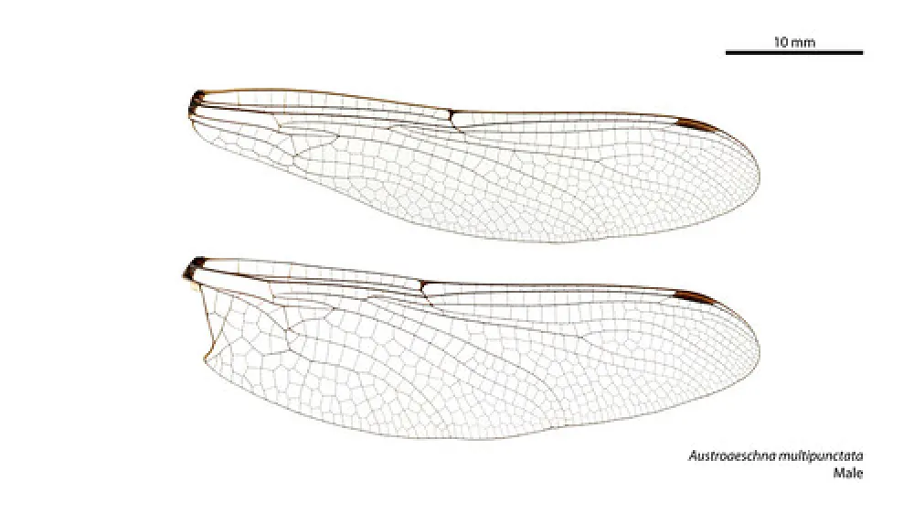 Island Bend Campground