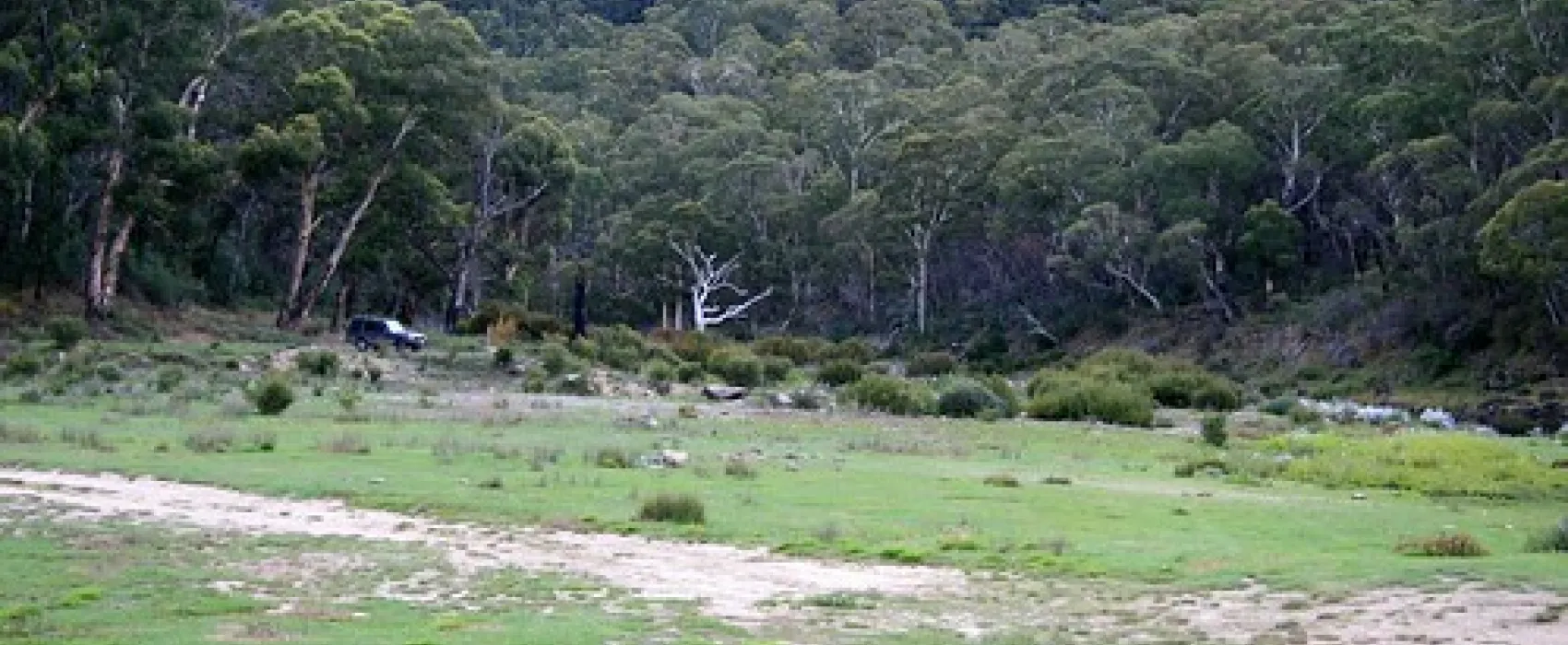 Island Bend Campground