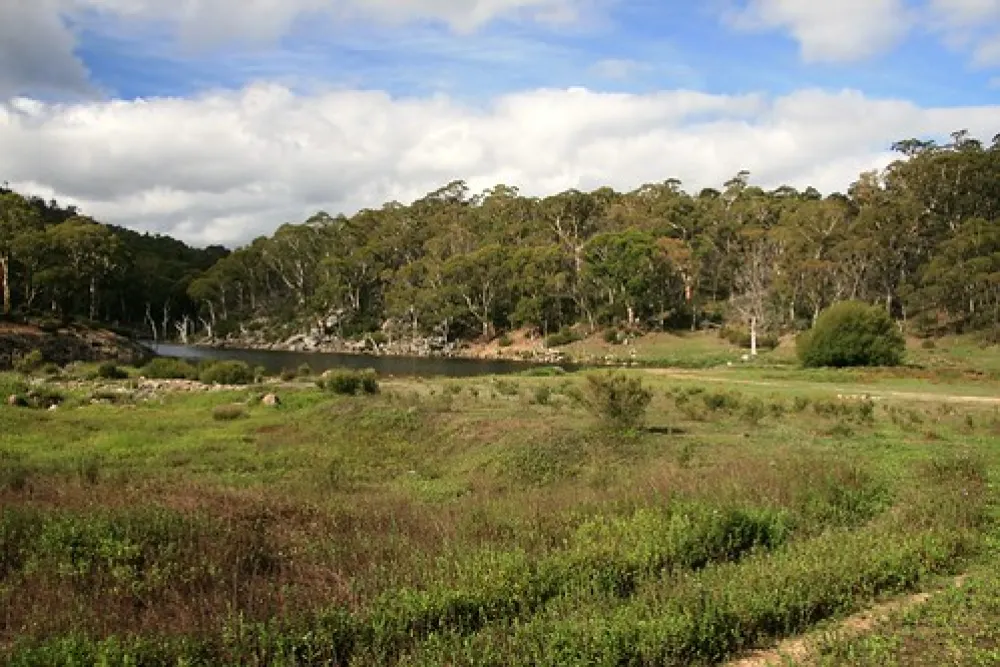Island Bend Campground