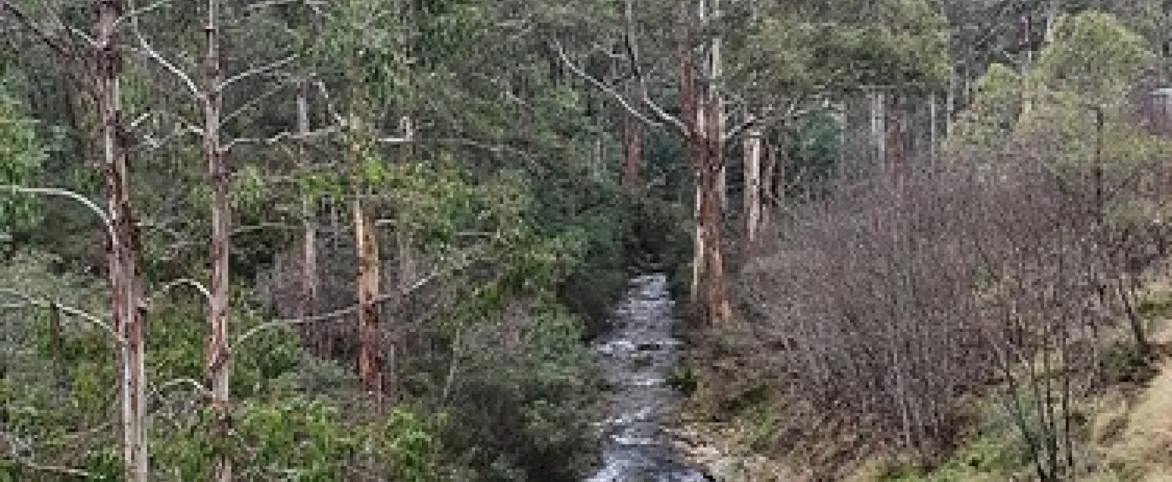Scott Reserve Campground