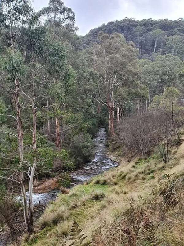 Scott Reserve Campground