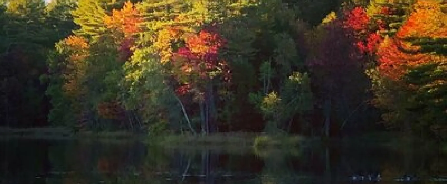 Potter's Place Adult Park