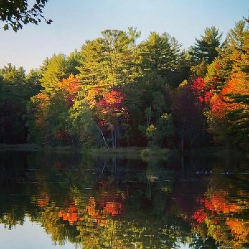 Potter's Place Adult Park