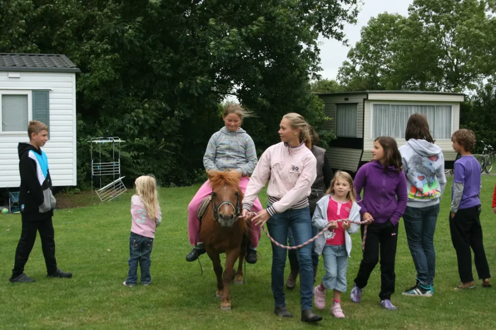 Minicamping In de Bocht