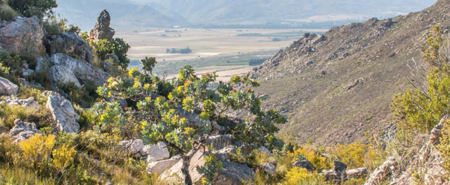 Cederkloof Luxury Forest Camp