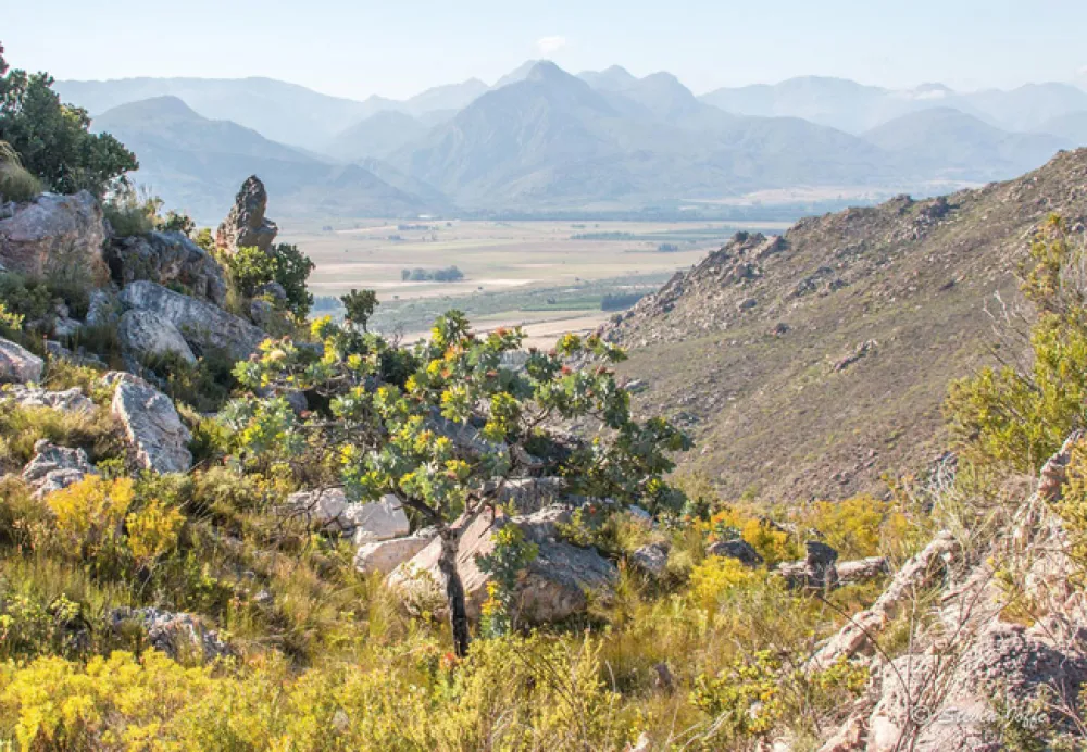 Cederkloof Luxury Forest Camp