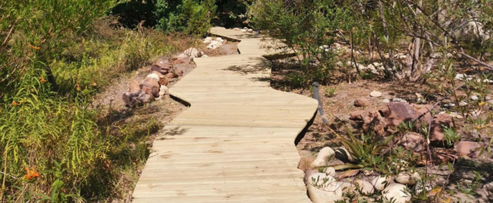 Cederkloof Luxury Forest Camp