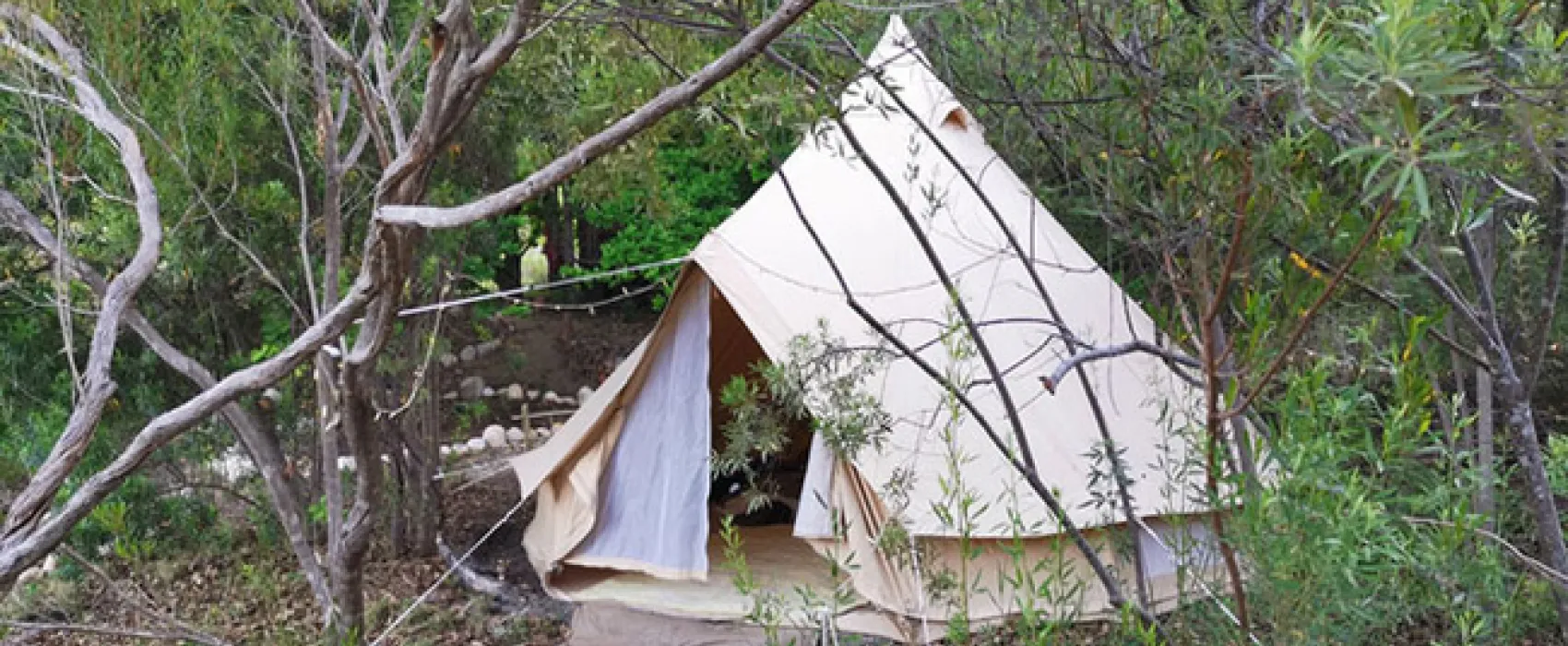 Cederkloof Luxury Forest Camp