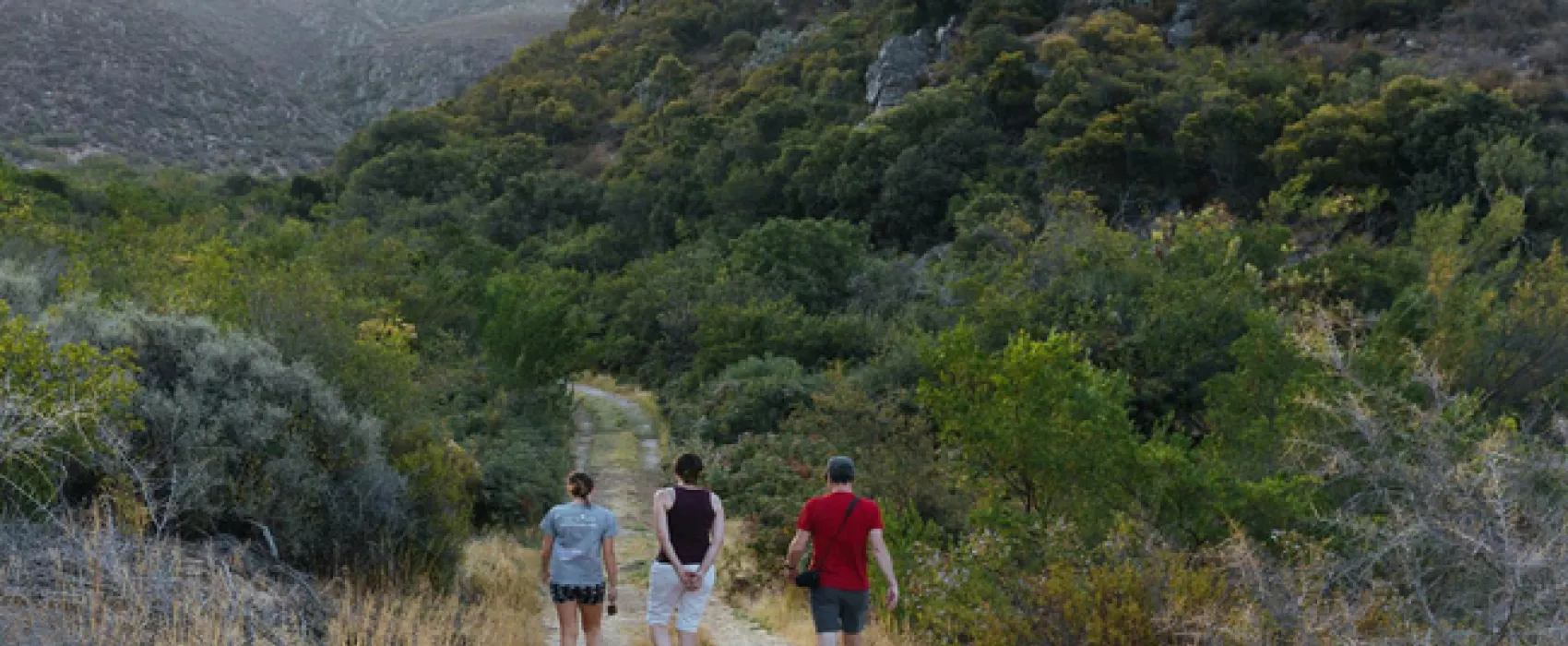 Cederkloof Luxury Forest Camp