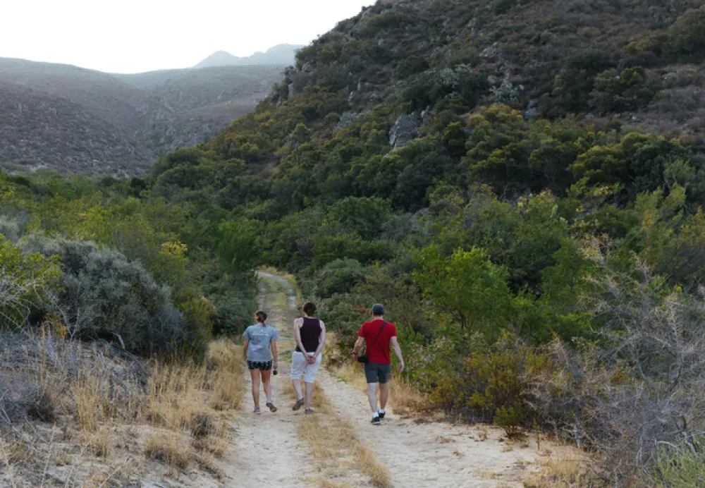 Cederkloof Luxury Forest Camp