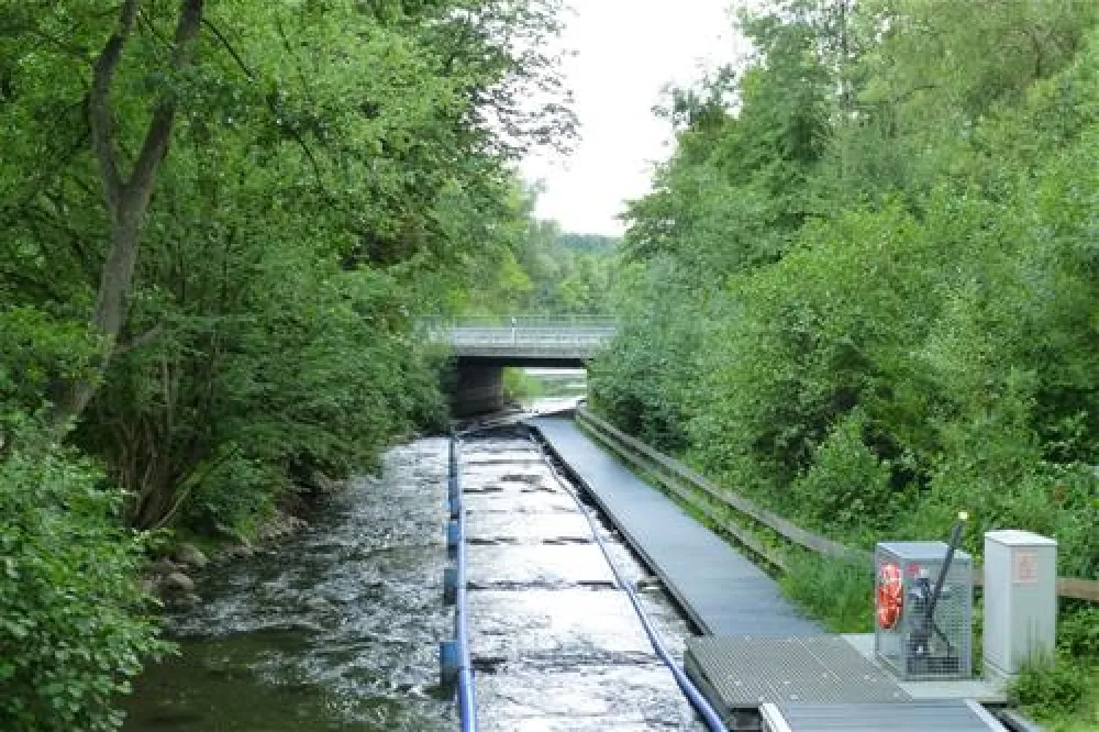 Naturcamping Seekamp  (Große Plöner See)
