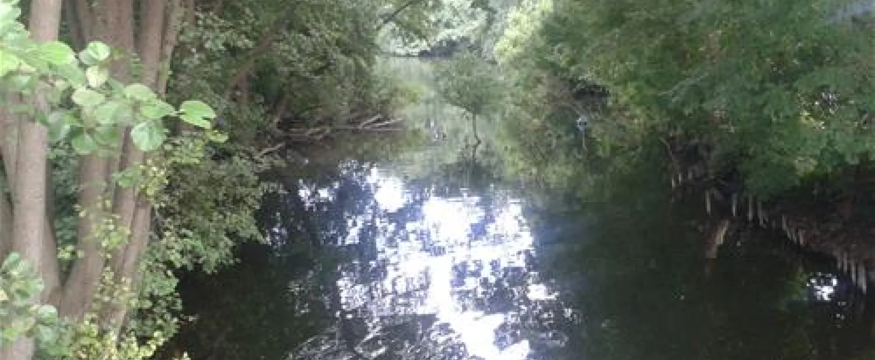 Naturcamping Seekamp  (Große Plöner See)