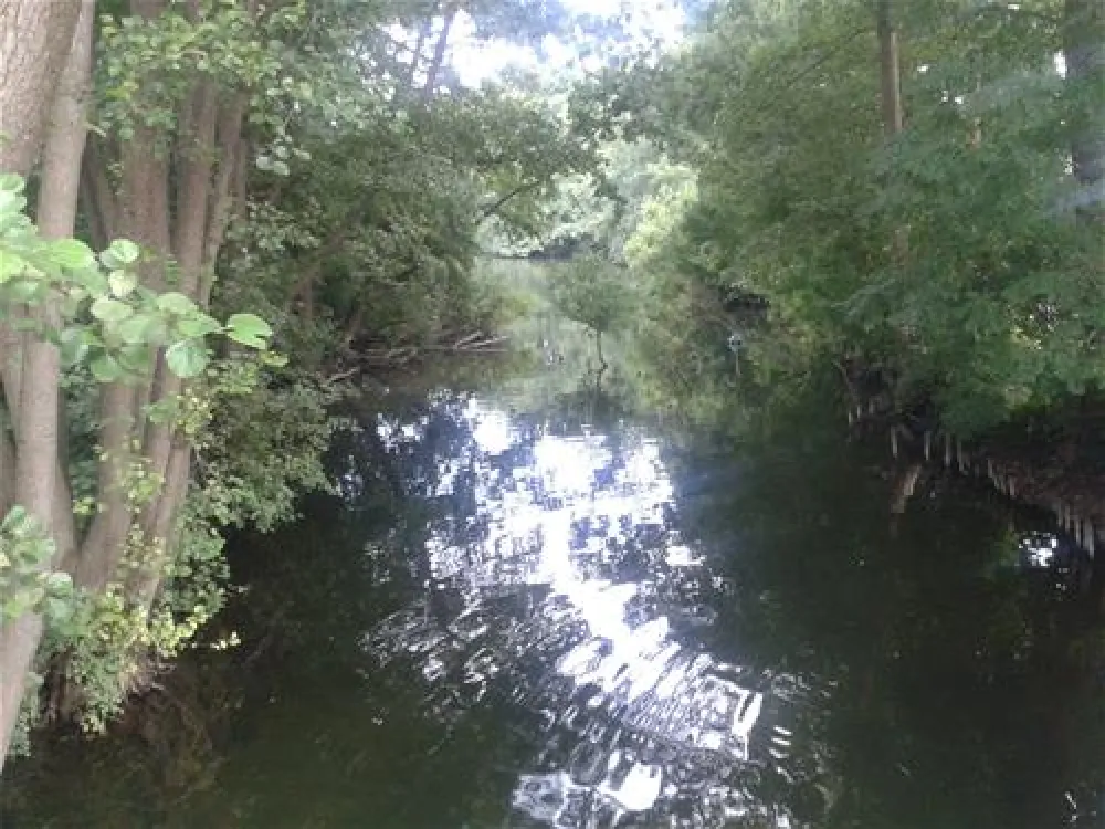 Naturcamping Seekamp  (Große Plöner See)