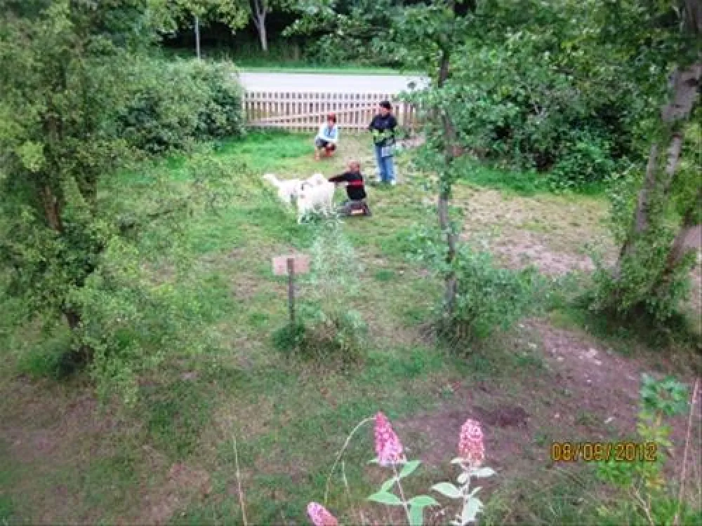 Naturcamping Seekamp  (Große Plöner See)