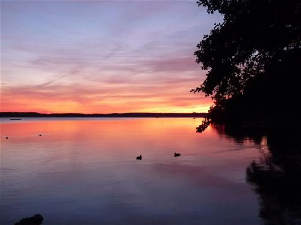 Naturcamping Seekamp  (Große Plöner See)