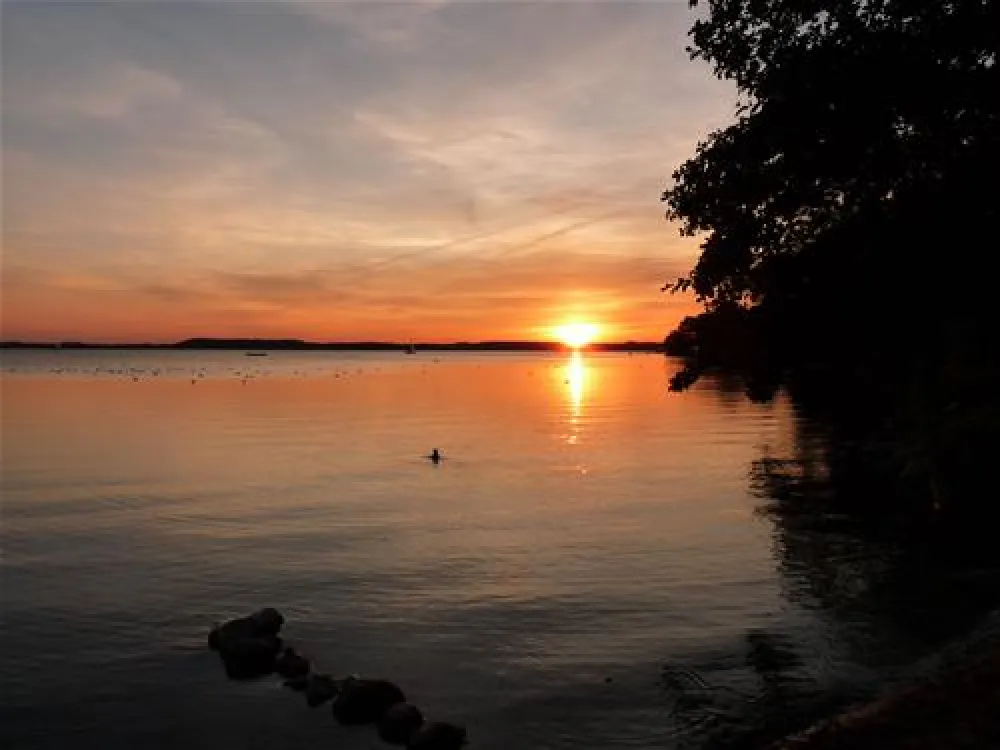 Naturcamping Seekamp  (Große Plöner See)