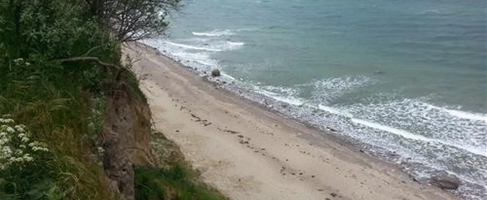 Naturcamping Seekamp  (Große Plöner See)