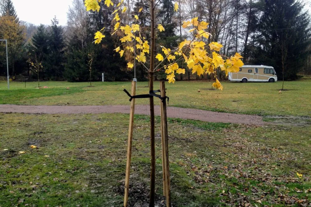 Caravanparking Adršpach