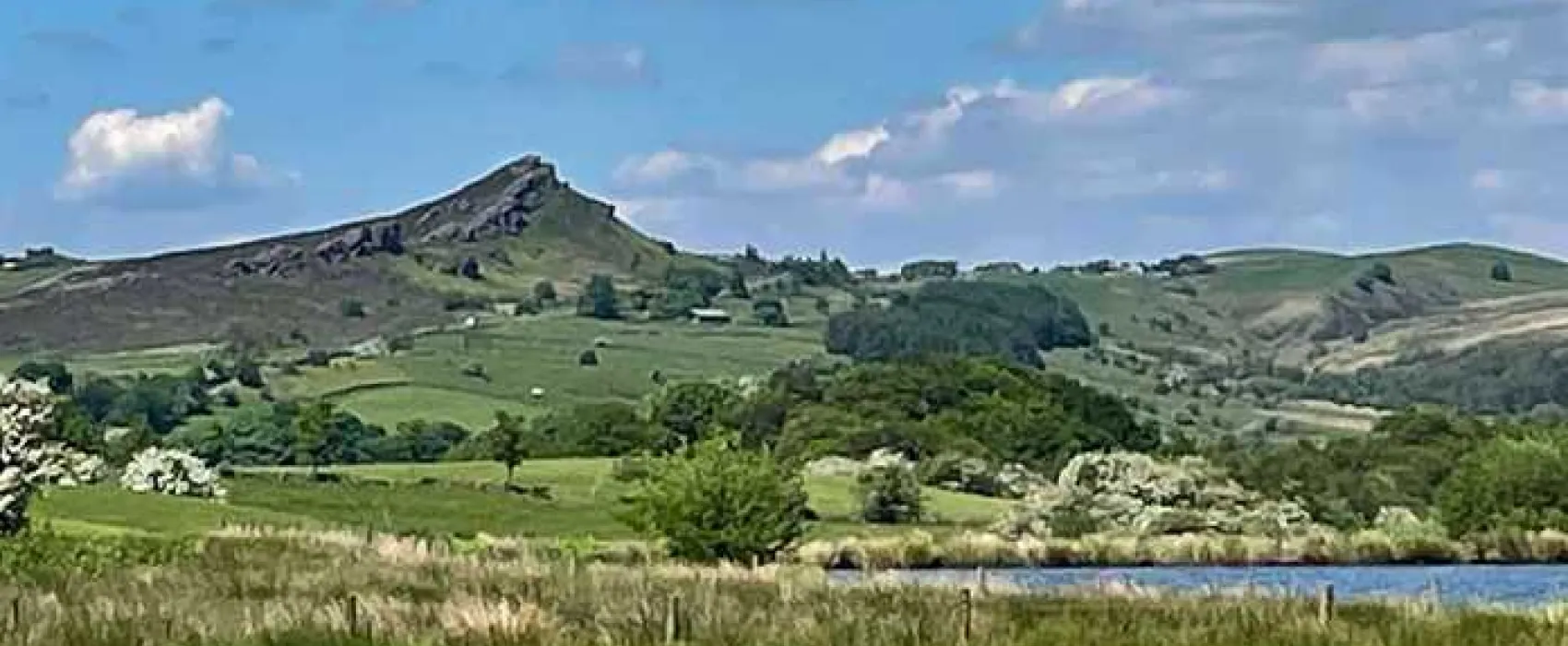 Brooklyn Grange Farm