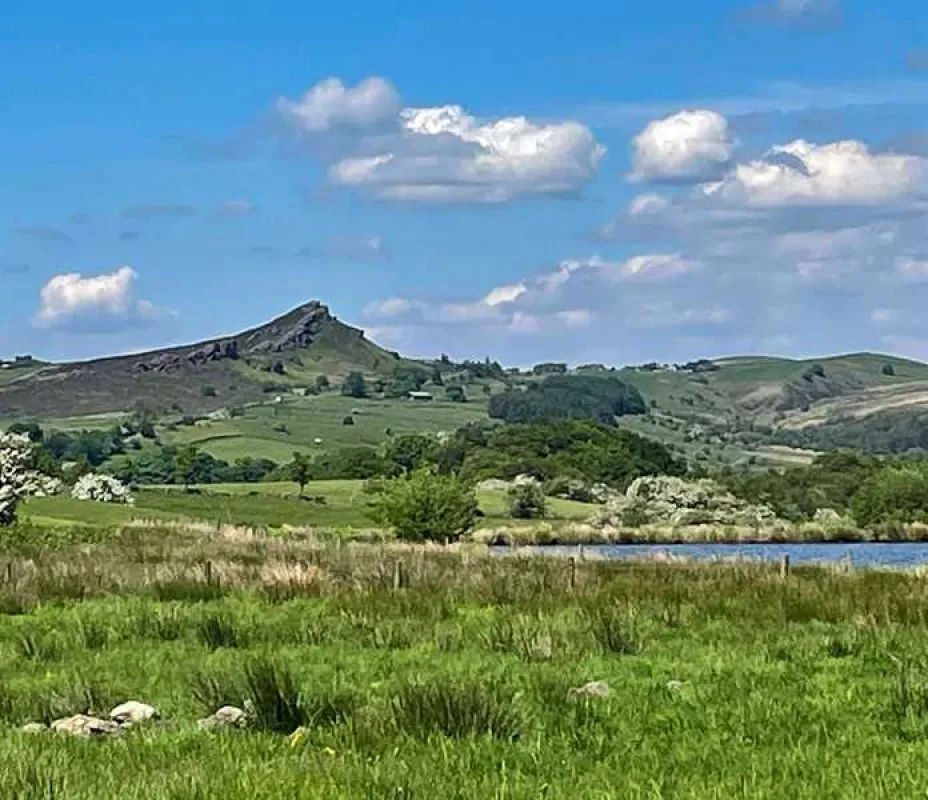 Brooklyn Grange Farm