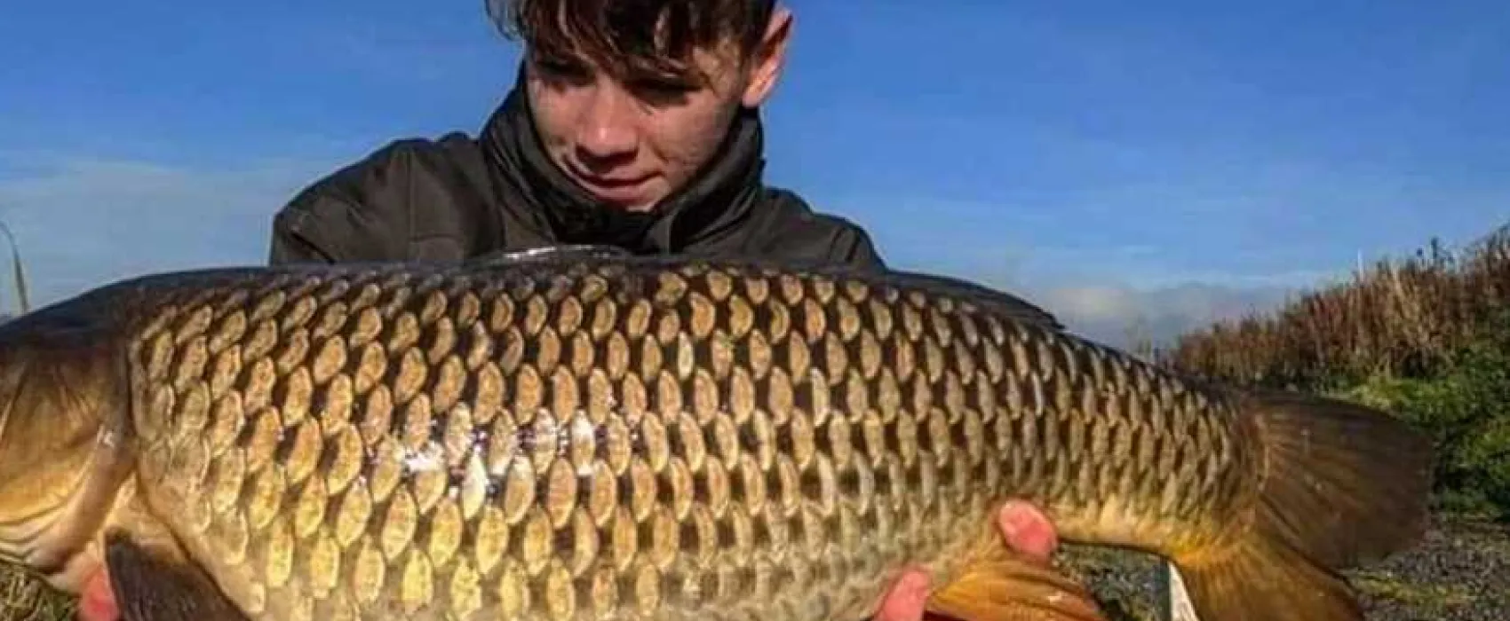 Brooklyn Grange Farm