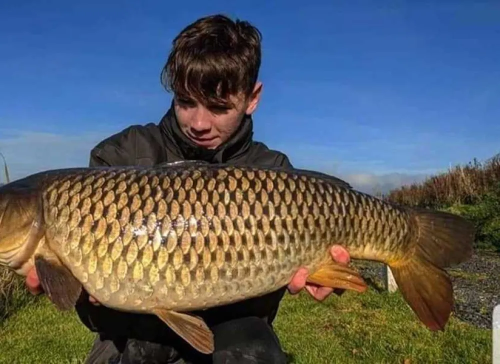 Brooklyn Grange Farm