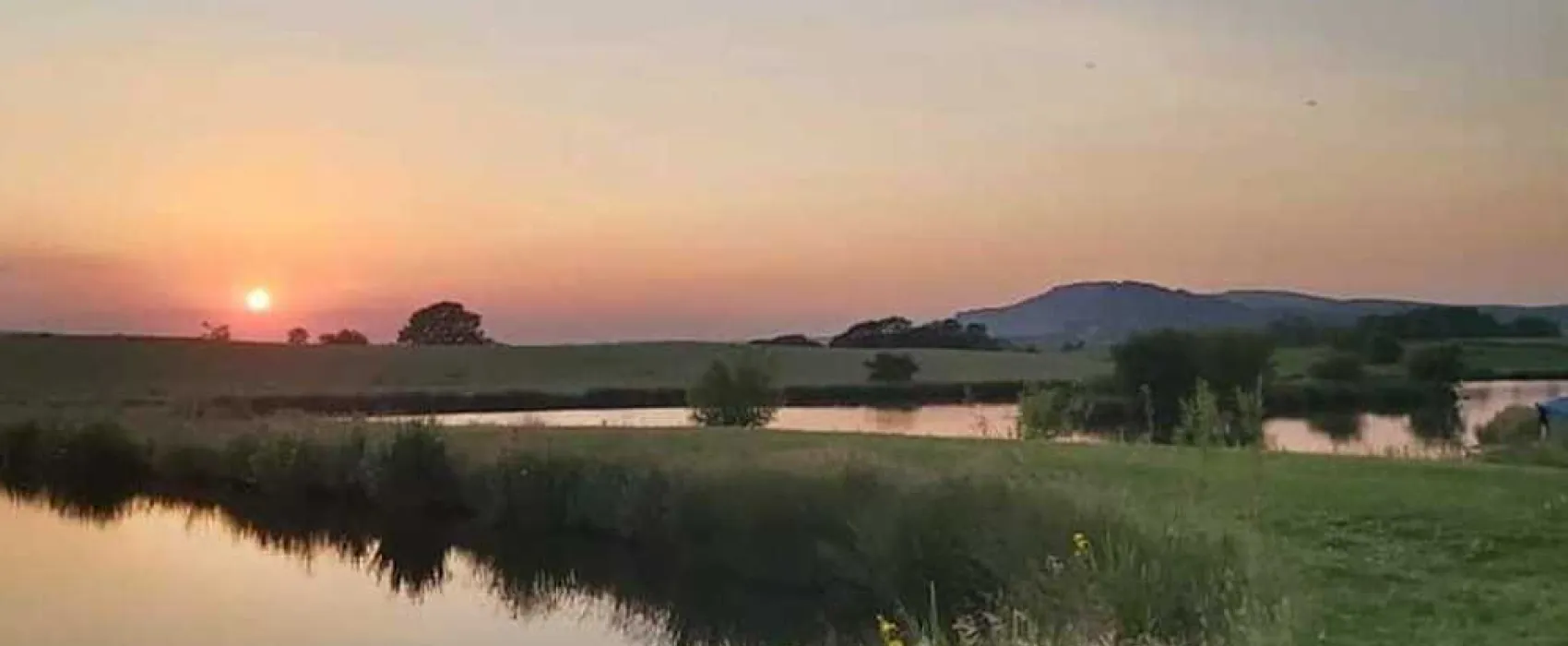 Brooklyn Grange Farm