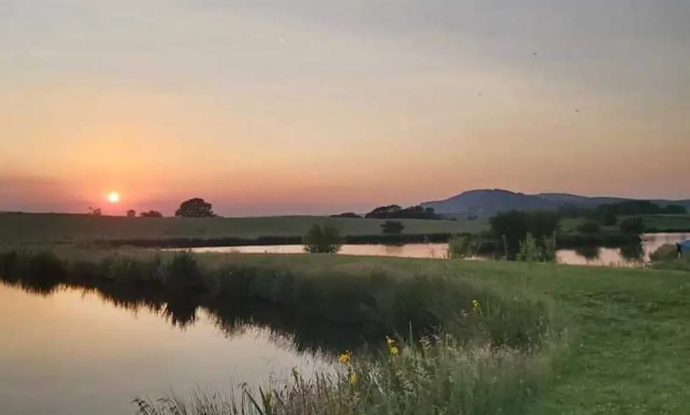 Brooklyn Grange Farm