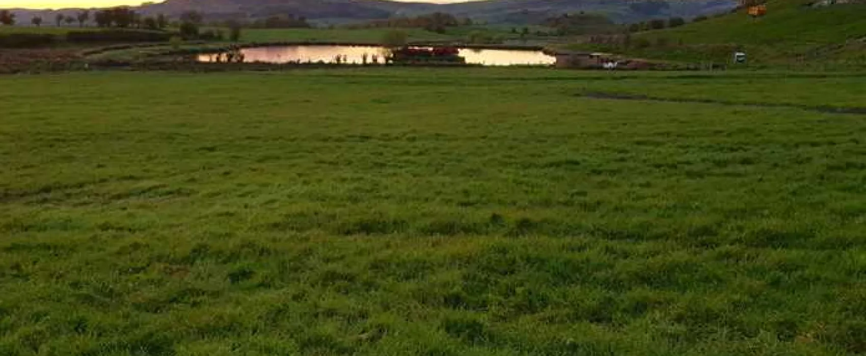 Brooklyn Grange Farm