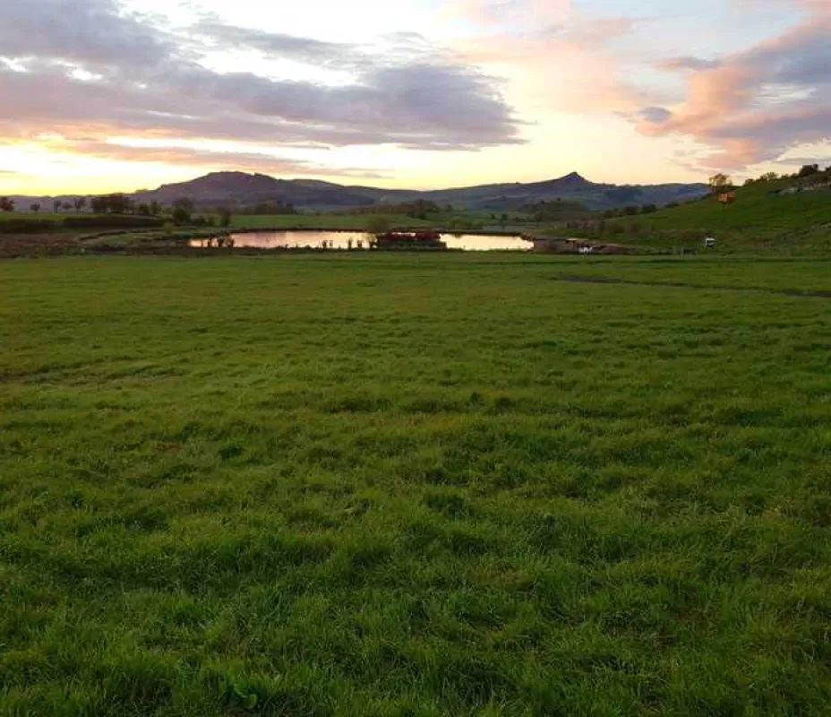 Brooklyn Grange Farm