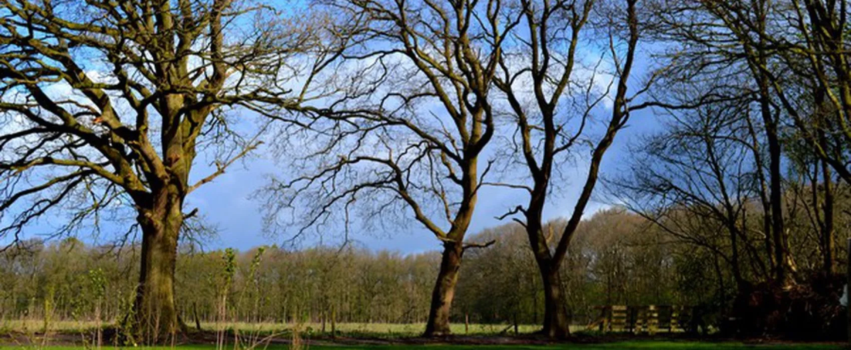 Landgoedcamping Buiten
