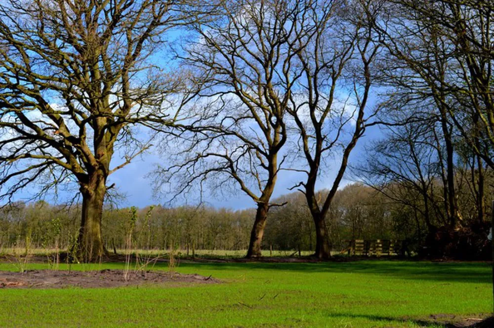 Landgoedcamping Buiten