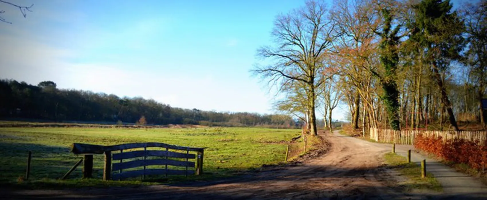 Landgoedcamping Buiten