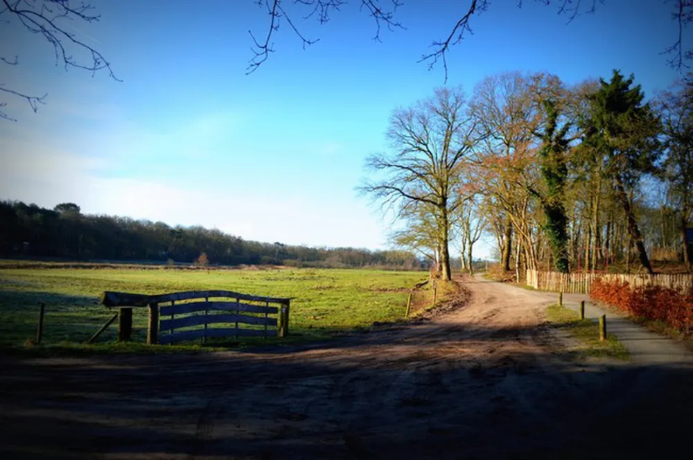 Landgoedcamping Buiten