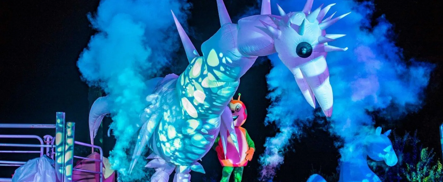 Sunelia L'Hippocampe