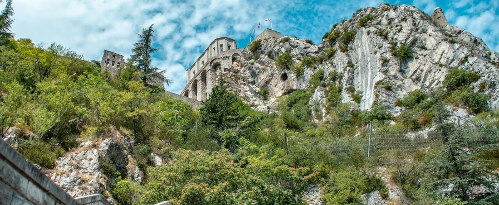 Sunelia L'Hippocampe