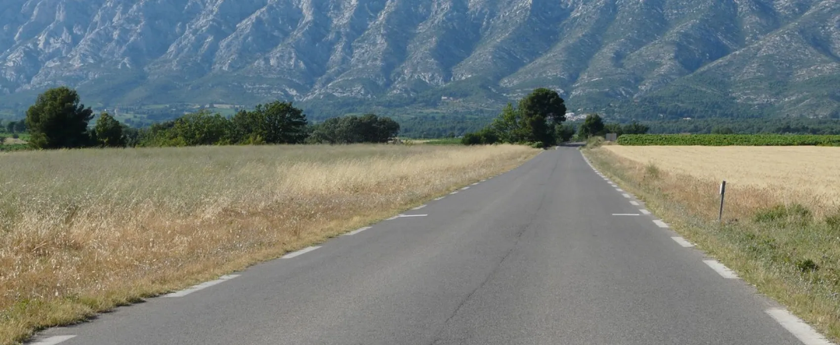 Municipal Le Cezanne