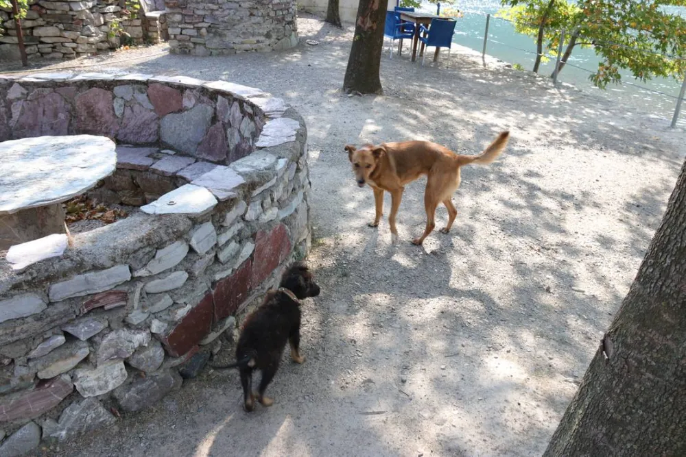 Natura Bar Restaurant Camping