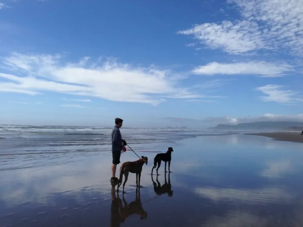Cape Lookout State Park